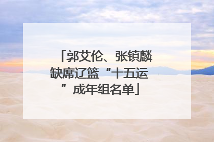 郭艾伦、张镇麟缺席辽篮“十五运”成年组名单