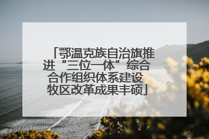 鄂温克族自治旗推进“三位一体”综合合作组织体系建设 牧区改革成果丰硕