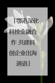 鄂港深化科技金融合作 共建科创企业出海通道