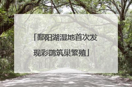 鄱阳湖湿地首次发现彩鹮筑巢繁殖