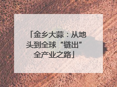 金乡大蒜：从地头到全球“链出”全产业之路