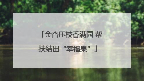 金杏压枝香满园 帮扶结出“幸福果”