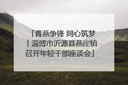 青燕争锋 同心筑梦丨淄博市沂源县燕崖镇召开年轻干部座谈会