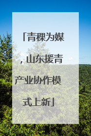 青稞为媒，山东援青产业协作模式上新
