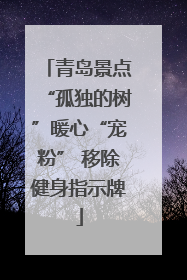 青岛景点“孤独的树”暖心“宠粉” 移除健身指示牌