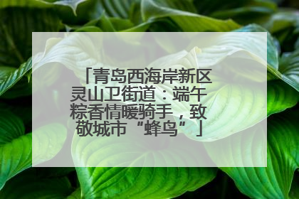 青岛西海岸新区灵山卫街道：端午粽香情暖骑手，致敬城市“蜂鸟”