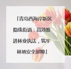 青岛西海岸新区隐珠街道：高效推进林业执法，筑牢林地安全屏障