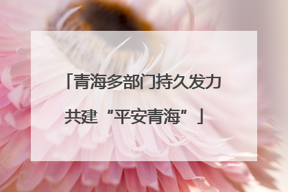 青海多部门持久发力共建“平安青海”