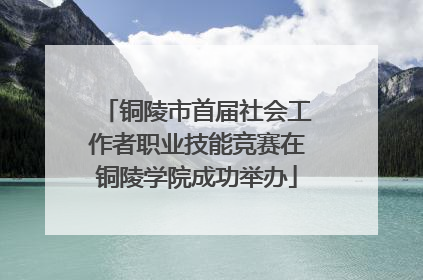 铜陵市首届社会工作者职业技能竞赛在铜陵学院成功举办