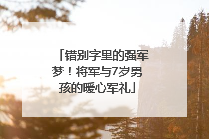 错别字里的强军梦！将军与7岁男孩的暖心军礼