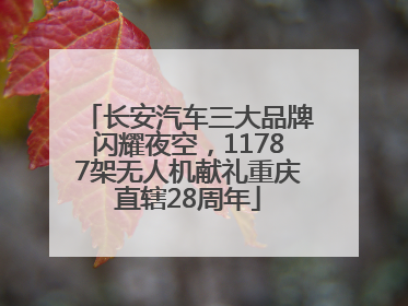 长安汽车三大品牌闪耀夜空，11787架无人机献礼重庆直辖28周年