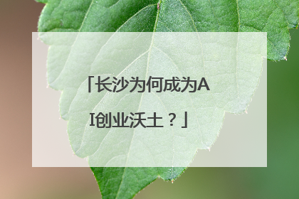 长沙为何成为AI创业沃土？