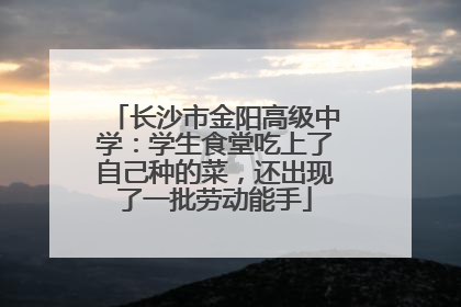 长沙市金阳高级中学：学生食堂吃上了自己种的菜，还出现了一批劳动能手