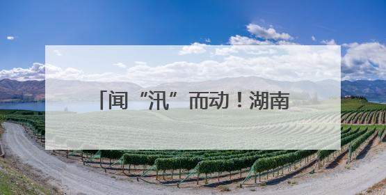 闻“汛”而动！湖南新宁应急铁军实战演练筑牢“安全堤”