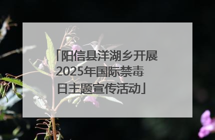 阳信县洋湖乡开展2025年国际禁毒日主题宣传活动