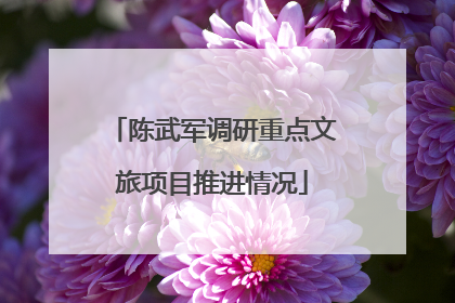 陈武军调研重点文旅项目推进情况