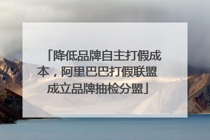 降低品牌自主打假成本，阿里巴巴打假联盟成立品牌抽检分盟