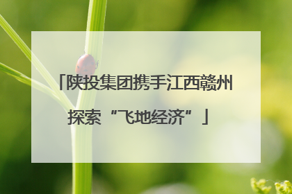 陕投集团携手江西赣州 探索“飞地经济”
