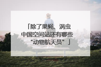 除了果蝇、涡虫 中国空间站还有哪些“动物航天员”
