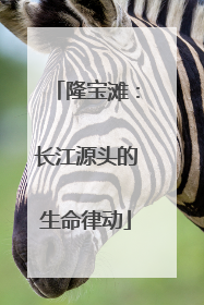 隆宝滩：长江源头的生命律动