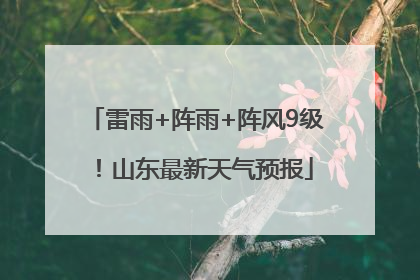 雷雨+阵雨+阵风9级！山东最新天气预报