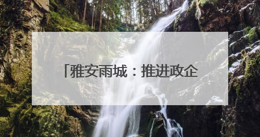 雅安雨城：推进政企合作 实现互利共赢