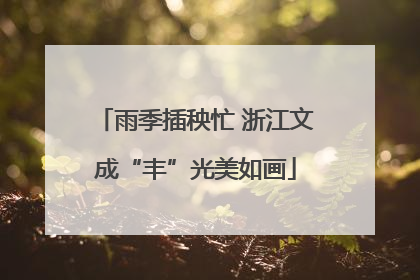 雨季插秧忙 浙江文成“丰”光美如画