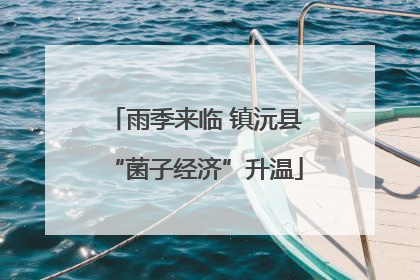 雨季来临 镇沅县“菌子经济”升温