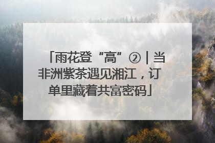 雨花登“高”②｜当非洲紫茶遇见湘江，订单里藏着共富密码