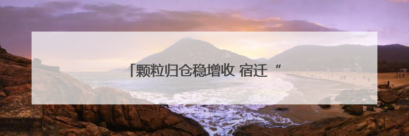 颗粒归仓稳增收 宿迁“三夏”农忙跑出加速度