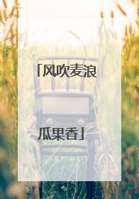 风吹麦浪 瓜果香