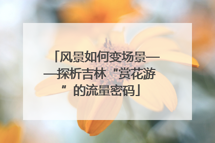 风景如何变场景——探析吉林“赏花游”的流量密码