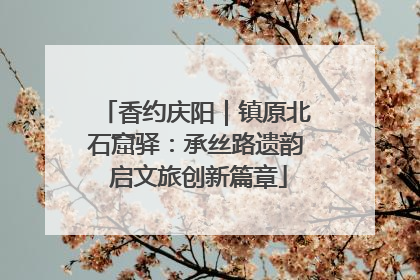 香约庆阳｜镇原北石窟驿：承丝路遗韵 启文旅创新篇章