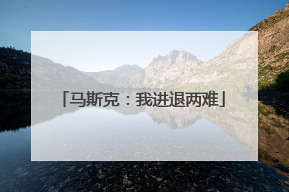 马斯克：我进退两难