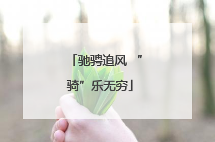 驰骋追风 “骑”乐无穷