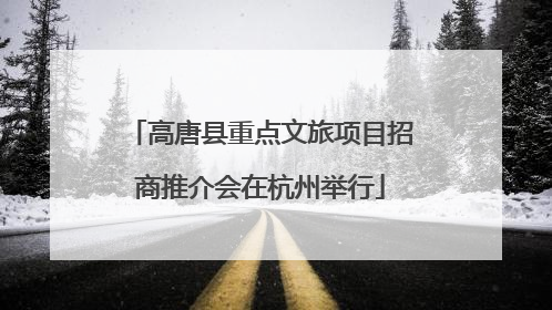 高唐县重点文旅项目招商推介会在杭州举行
