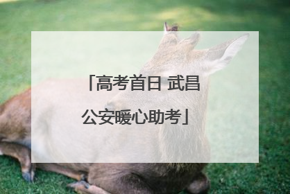 高考首日 武昌公安暖心助考