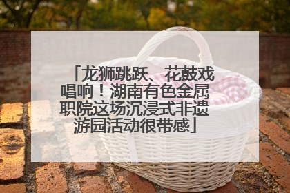 龙狮跳跃、花鼓戏唱响！湖南有色金属职院这场沉浸式非遗游园活动很带感