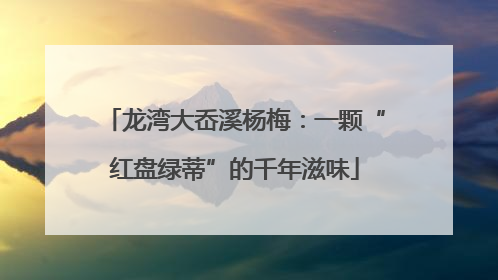 龙湾大岙溪杨梅：一颗“红盘绿蒂”的千年滋味