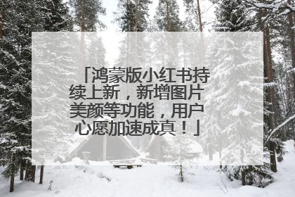 鸿蒙版小红书持续上新，新增图片美颜等功能，用户心愿加速成真！