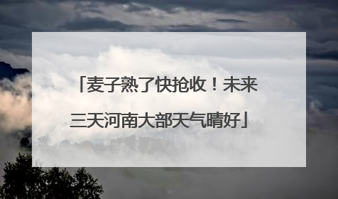 麦子熟了快抢收！未来三天河南大部天气晴好