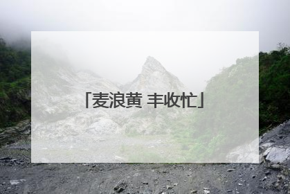 麦浪黄 丰收忙