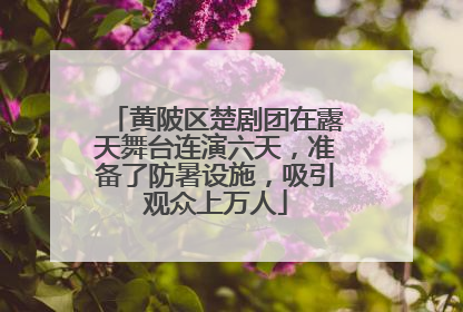 黄陂区楚剧团在露天舞台连演六天，准备了防暑设施，吸引观众上万人