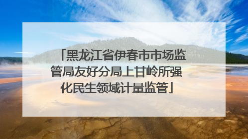 黑龙江省伊春市市场监管局友好分局上甘岭所强化民生领域计量监管