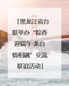 黑龙江省台联举办“粽香迎端午·龙台情相融”交流联谊活动