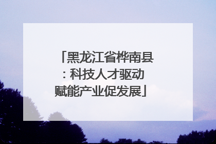 黑龙江省桦南县：科技人才驱动 赋能产业促发展