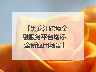 黑龙江跨境金融服务平台增添全新应用场景