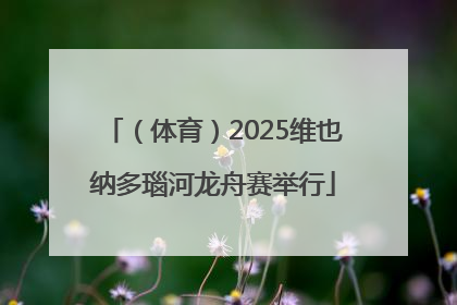 （体育）2025维也纳多瑙河龙舟赛举行