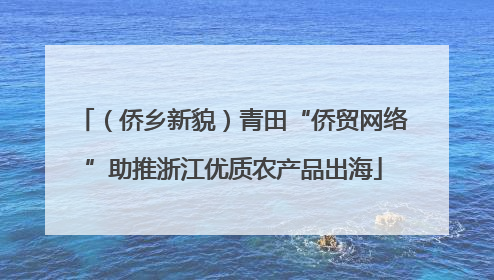（侨乡新貌）青田“侨贸网络”助推浙江优质农产品出海