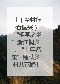 （乡村行·看振兴）“槜李之乡”浙江桐乡：“千年名果”铺就乡村共富路